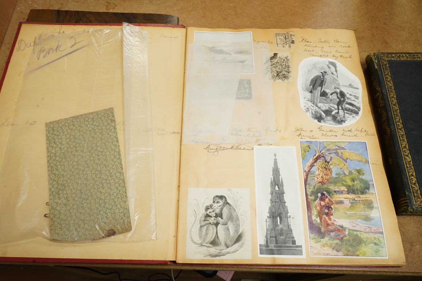 A collection of late 19th century / early 20th century scrap books and albums